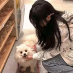 超神满v版下载